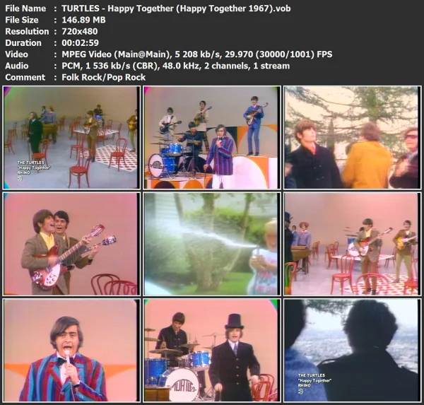 TURTLES - Happy Together