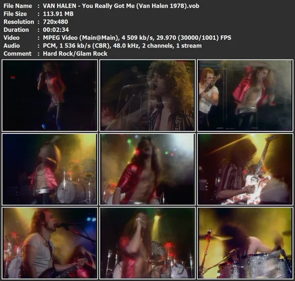 VAN HALEN - You Really Got Me