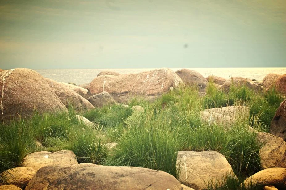 Фотография: Белое море