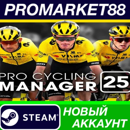 ✅ Pro Cycling Manager 2025 Steam АККАУНТ +ПОЧТА 🟢