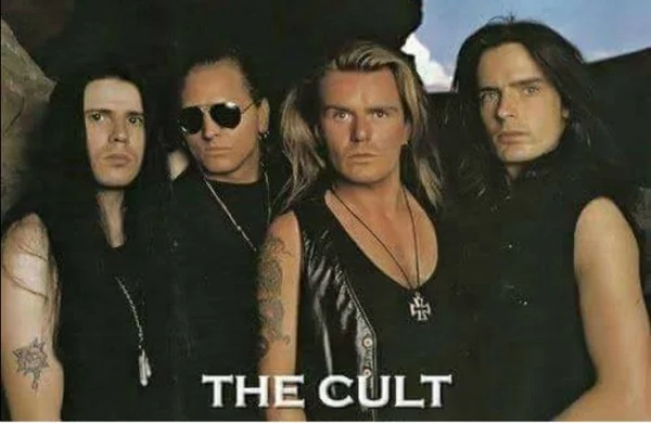 Видеоколлекция в качестве DVD. 