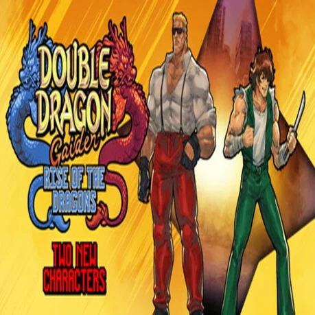 Double Dragon Gaiden: Rise Of The Dragons Steam ключ