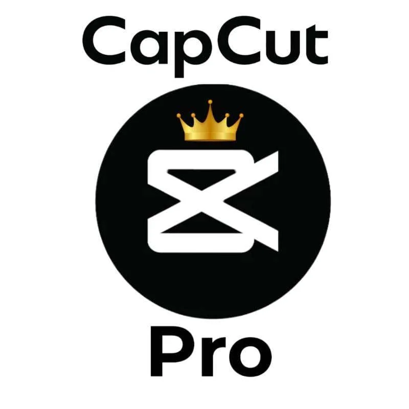 CAPCUT PRO АККАУНТ 1/12 МЕСЯЦЕВ