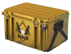 CS:GO - Случайное оружие из Winter Offensive