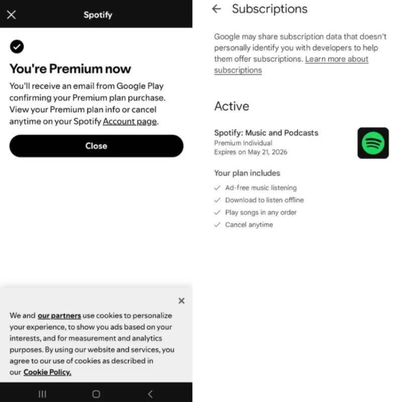 Spotify Premium Individual Subscription To your Account
