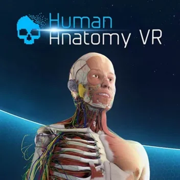 Human Anatomy VR Oculus Quest