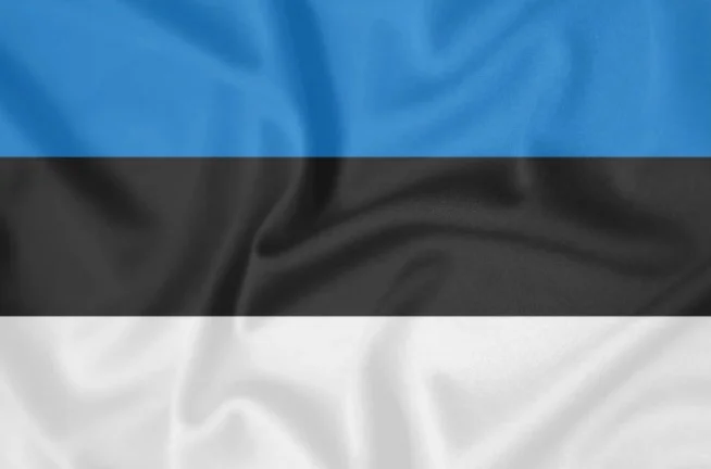 Hiddify VPN/Proxy | Estonia | Works in Russia | 1-6 mon