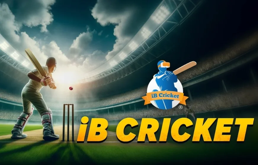 iB Cricket Oculus Quest