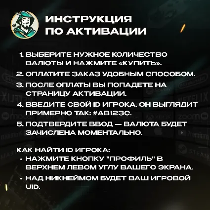 24/7 АВТО ID | ZENLESS ZONE ZERO 60-8080 МОНОХРОМОВ / ПОДПИСКА
