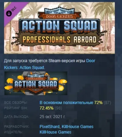 Door Kickers Action Squad Professionals Abroad АВТОДОСТАВКА STEAM РОССИЯ