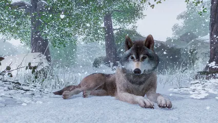 ⭐ Planet Zoo: Premium Edition 2022 EU Steam КЛЮЧ 🔑 ЕВРОП