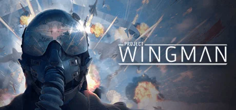 ️Project Wingman | АВТОДОСТАВКА Россия Steam