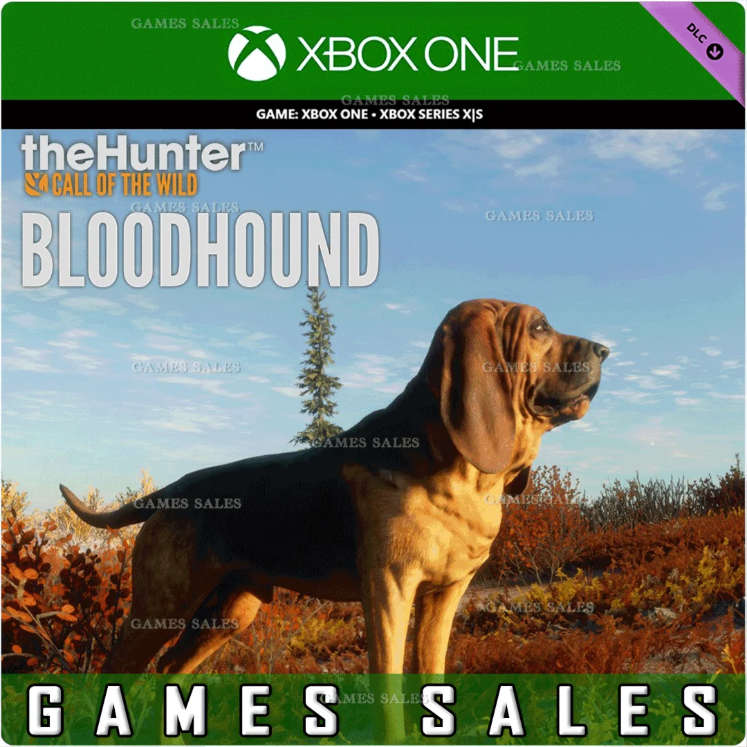 ️THEHUNTER: CALL OF THE WILD - BLOODHOUND️XBOXКЛЮЧ