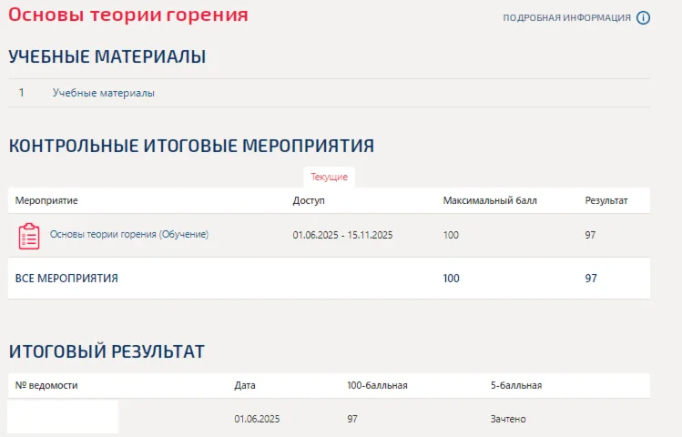 Основы теории горения.Тест Синергия/МТИ 2025г