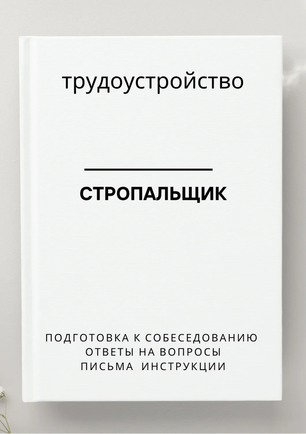 Стропальщик. Трудоустройство. Собеседование