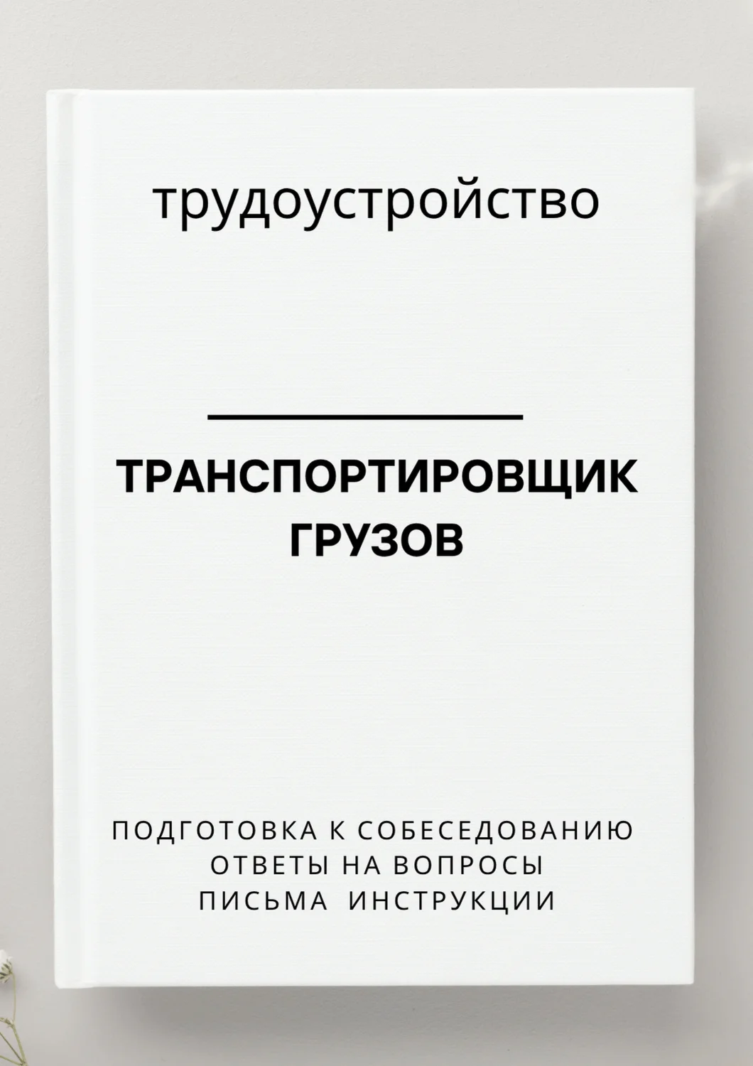 Транспортировщик грузов. Трудоустройство. Собеседование