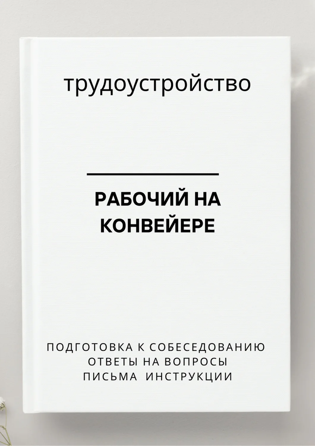 Рабочий на конвейере. Трудоустройство. Собеседование