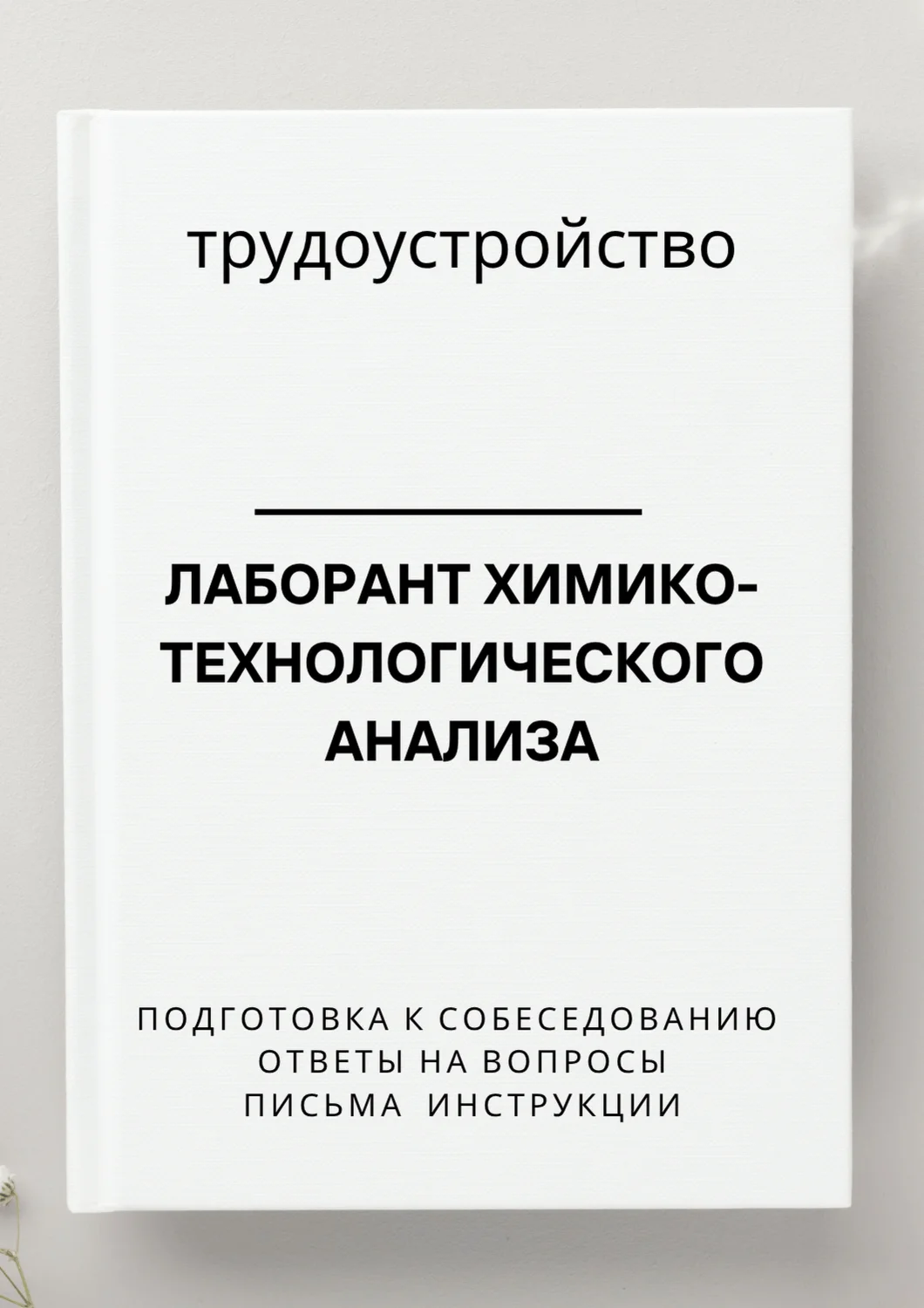 Лаборант химико-технологического анализа. Резюме