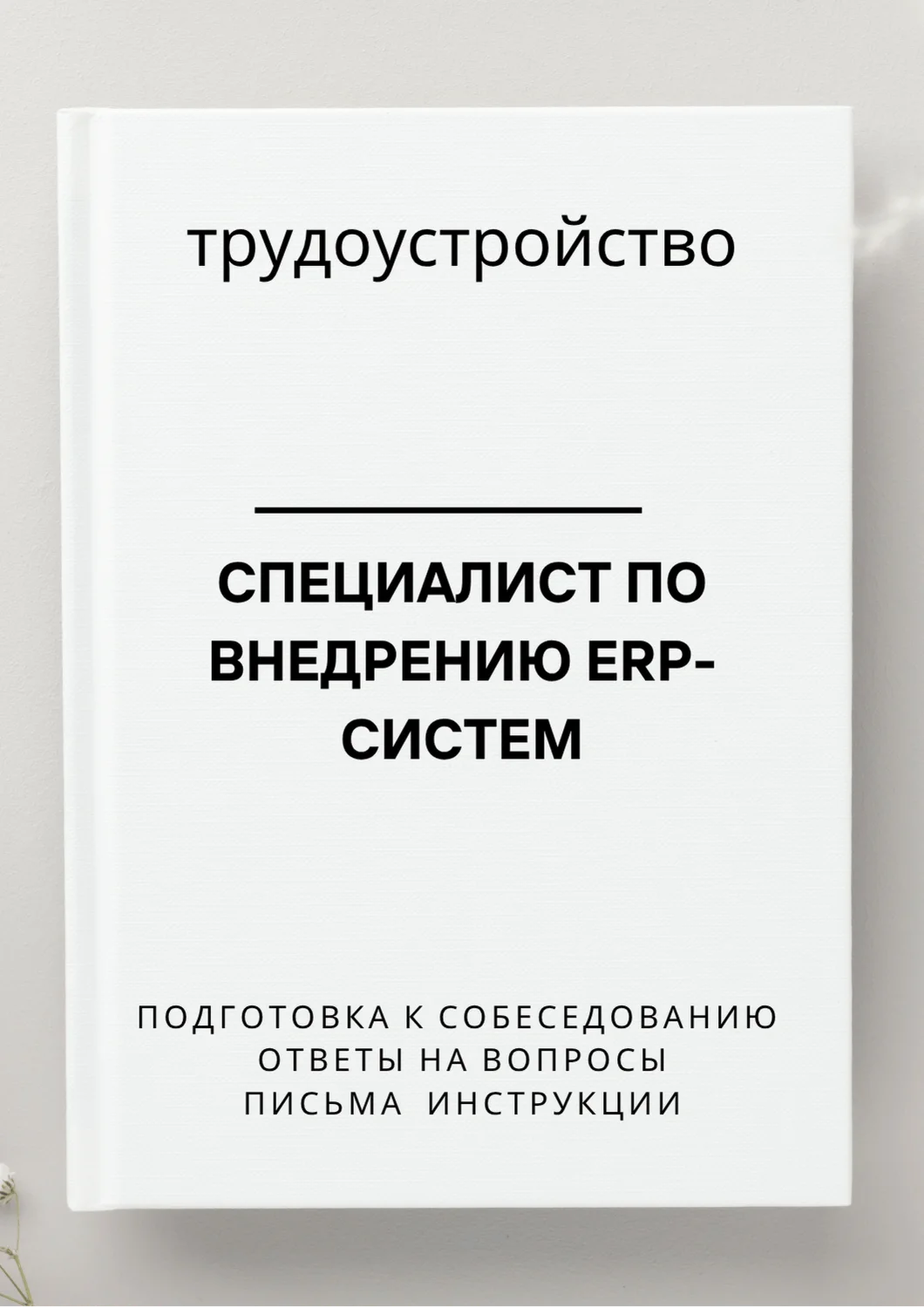 Специалист по внедрению ERP-систем. Трудоустройство