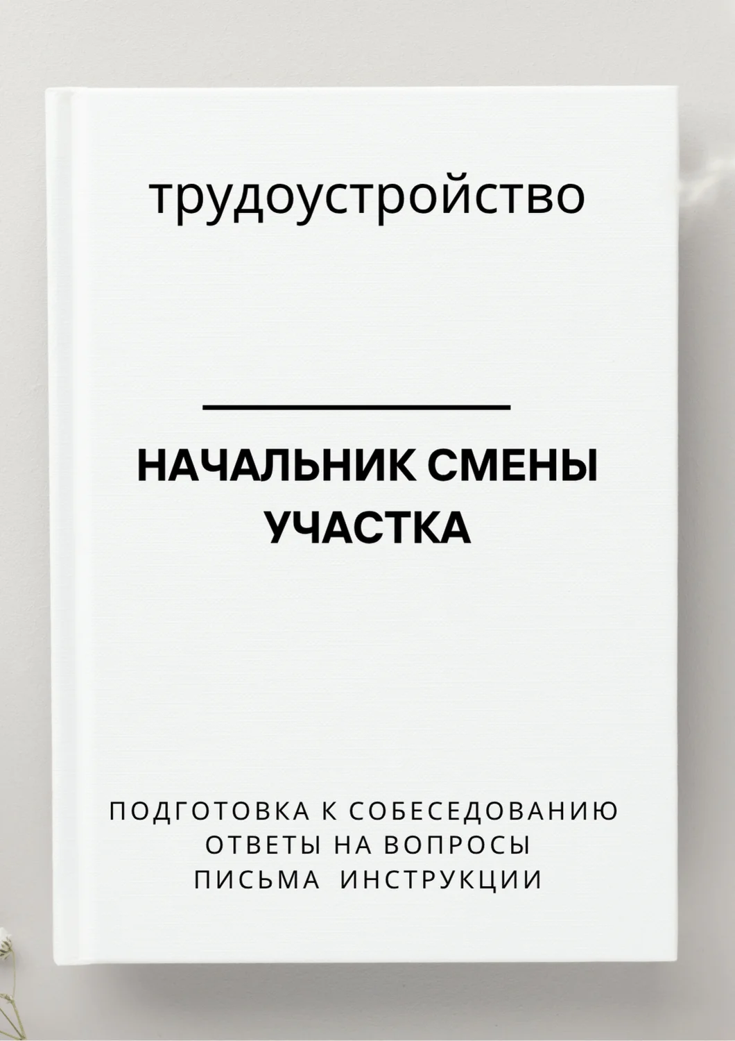Начальник смены участка. Трудоустройство. Собеседование