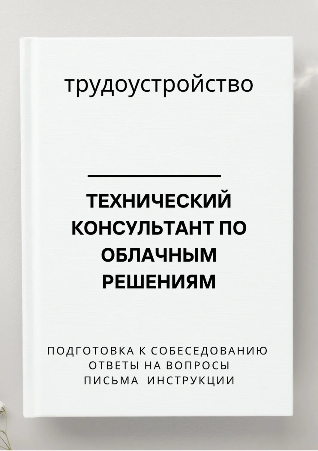Технический консультант по облачным решениям