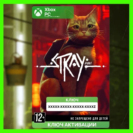 КЛЮЧ | STRAY 😺 (XBOX + PC)