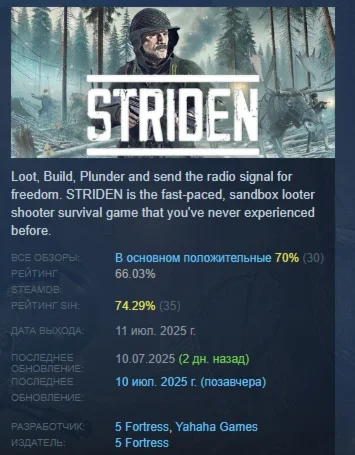 STRIDEN АВТОДОСТАВКА STEAM РОССИЯ