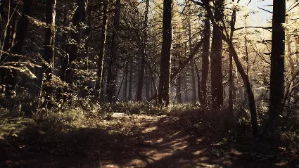⭐ Blair Witch EU XBOX One КЛЮЧ 🔑 ЕВРОПА