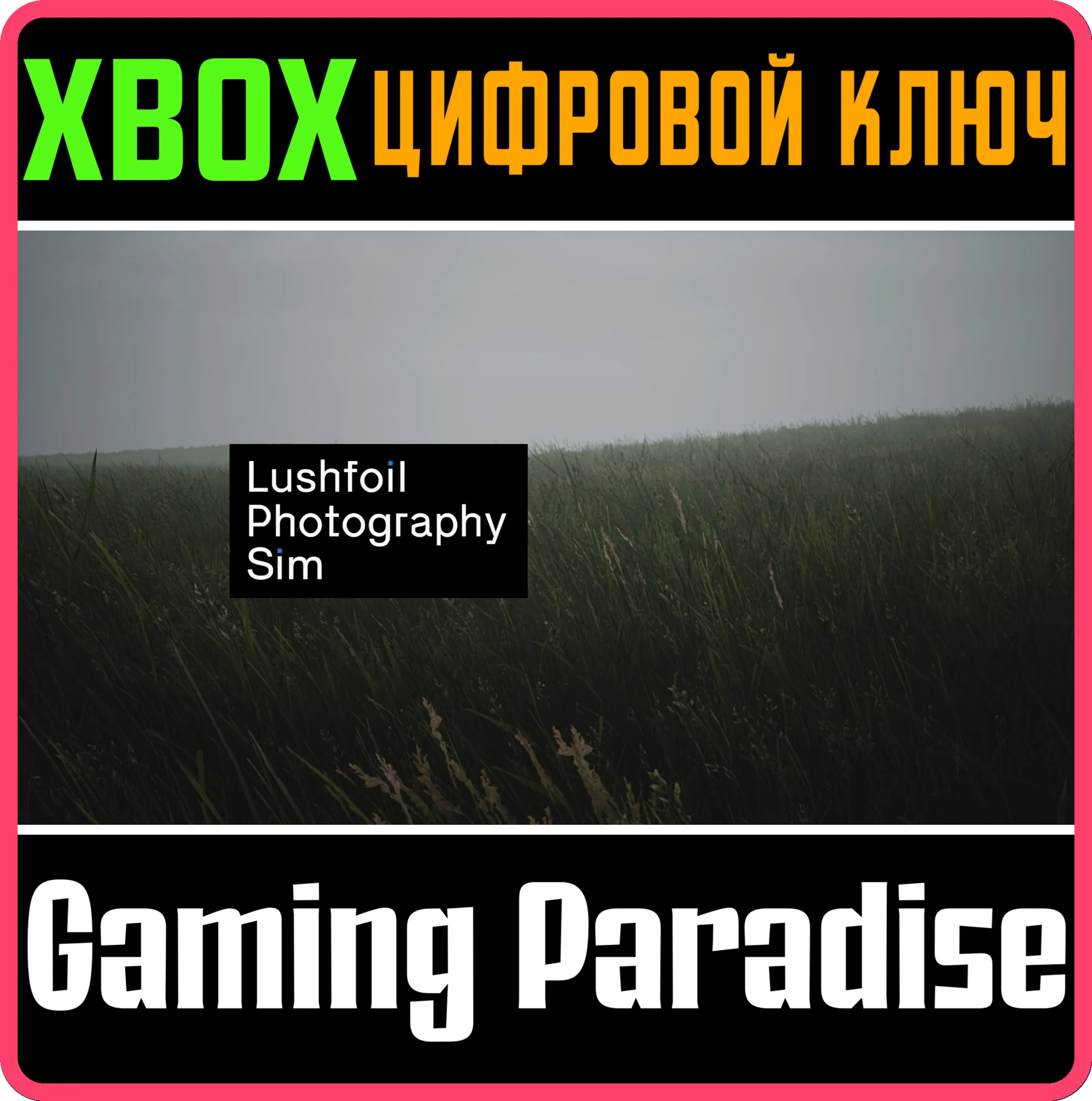 LUSHFOIL PHOTOGRAPHY SIM XBOX SERIES S|X КЛЮЧ/КОД