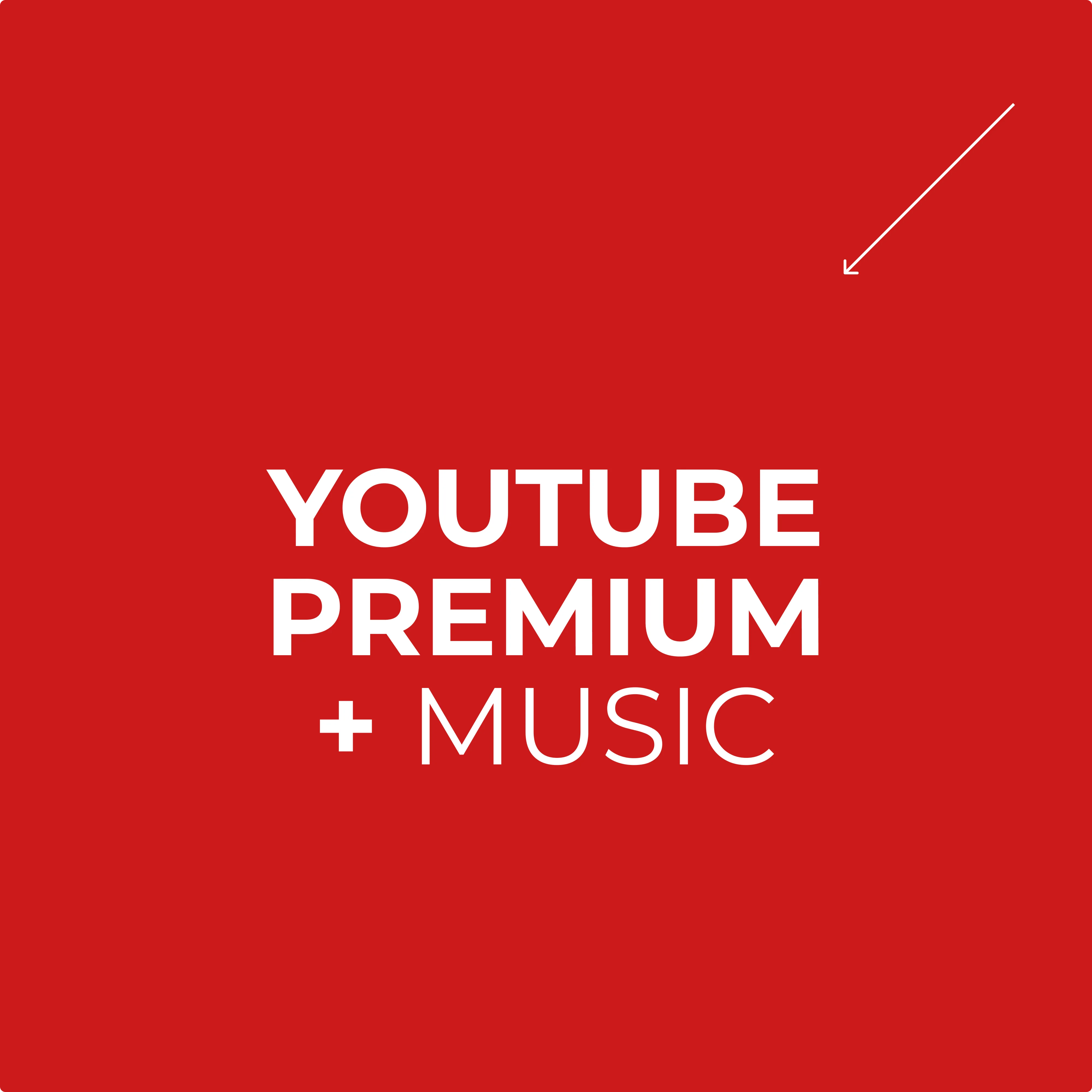YOUTUBE PREMIUM + MUSIC - 3/12 - НА ВАШ АККАУНТ