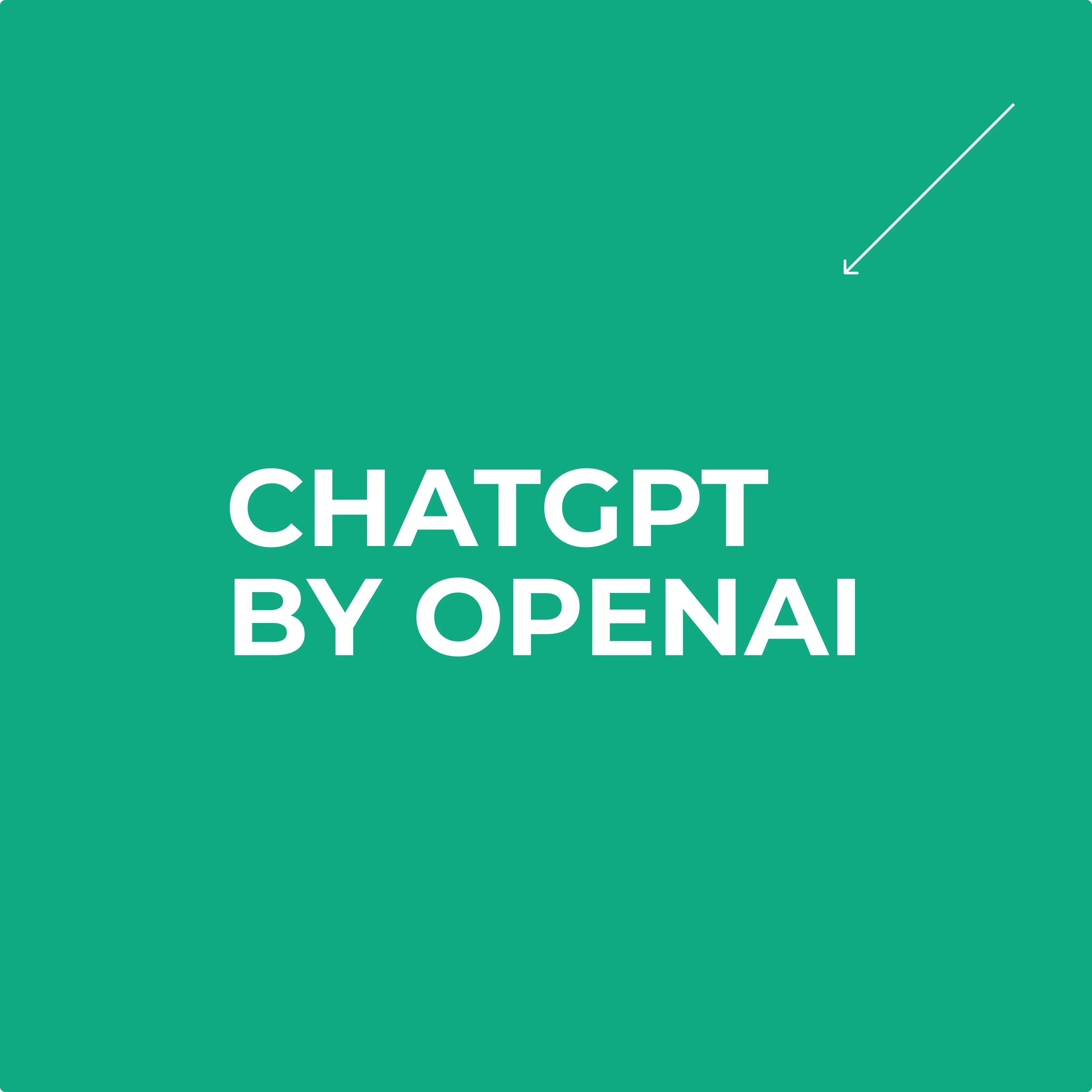 CHATGPT - O3/O1/4O - PRO/PLUS - ВАШ АККАУНТ
