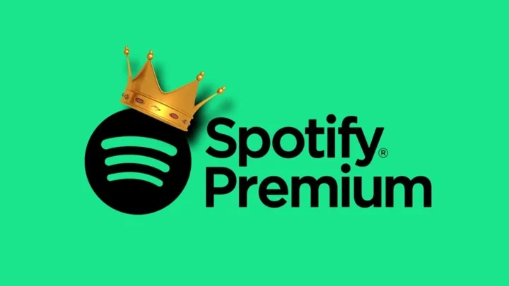 Spotify Premium 1,3,6,12 месяцев Через ваш email