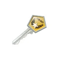 Случайный ключ CS:GO