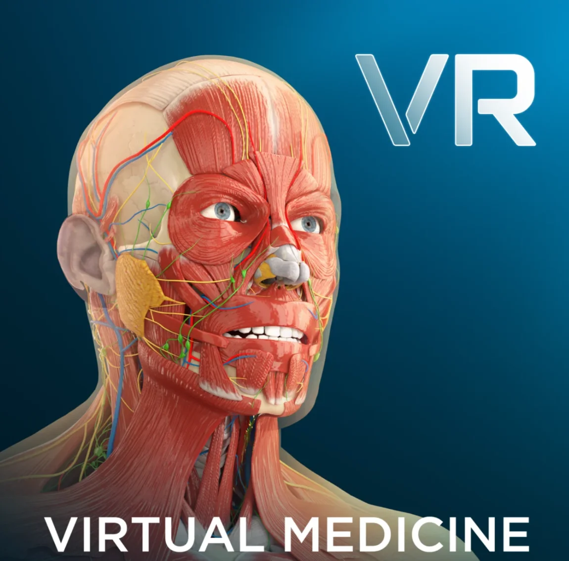 Human Anatomy VR купить для Pico 3 4 pro ultra