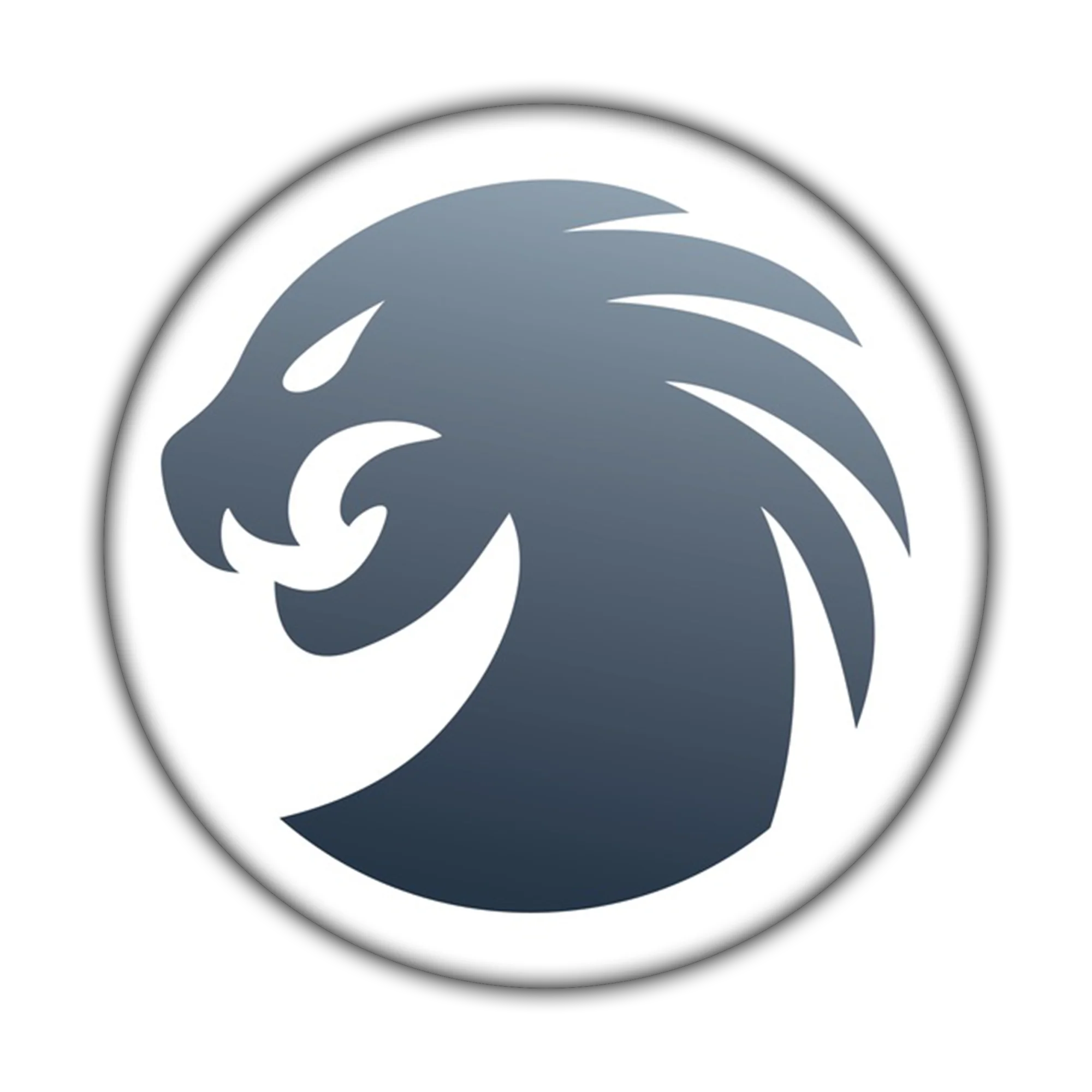 Hydra Tool - аренда аккаунта