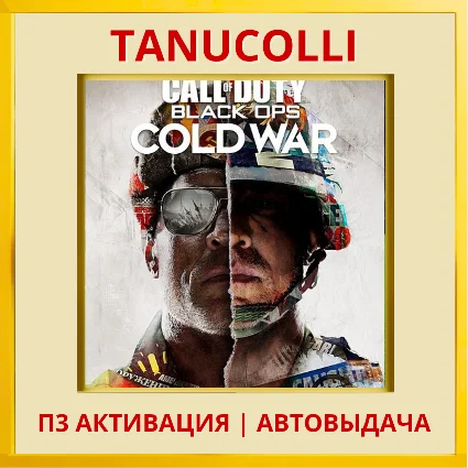 ☀ ️ Call of Duty B.O Cold war (PS4/PS5/RU) П3 Активация