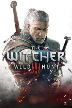 The Witcher 3 RU/Multi Steam Offline With Warranty