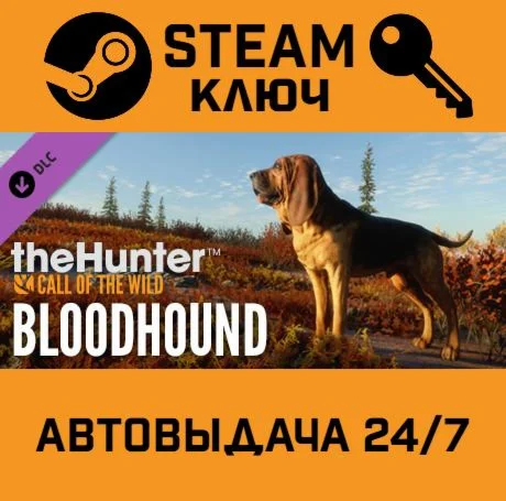TheHunter: Call of the Wild - Bloodhound. STEAM-ключ