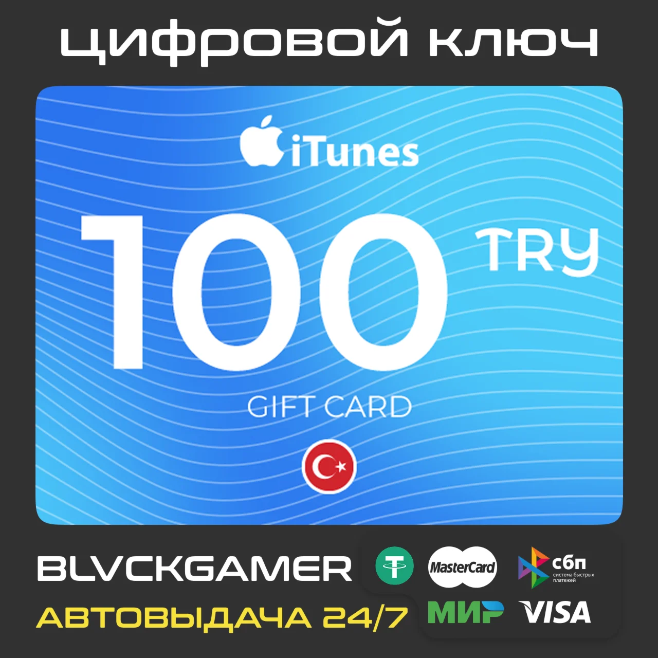 Apple &amp; iTunes 100 TRY (Gift Card)  - Turkey