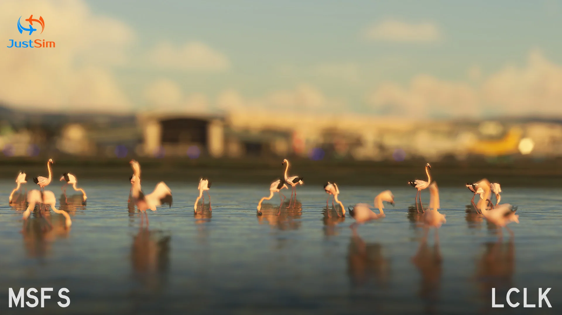  LCLK Larnaca International Airport | MSFS