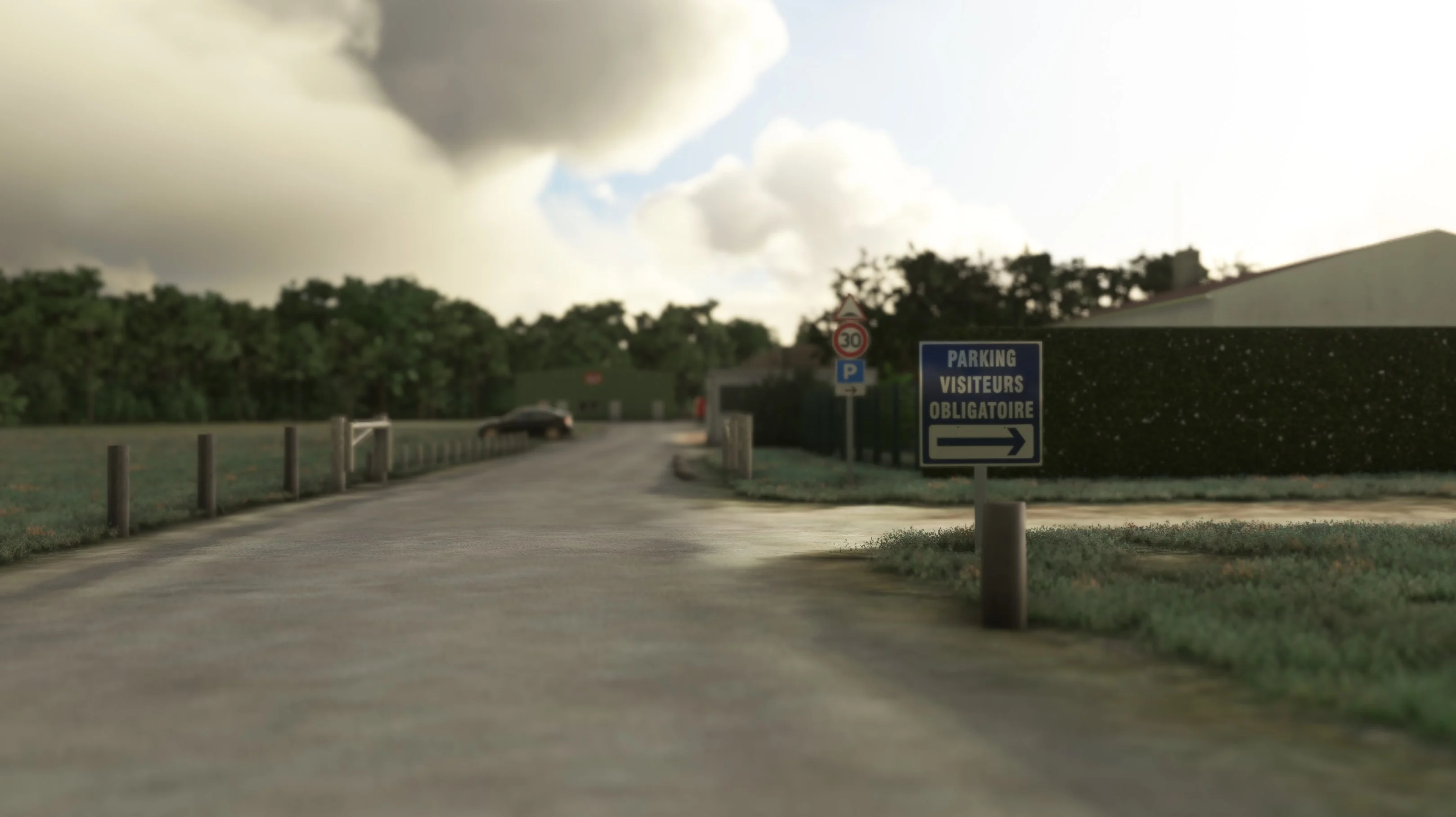  LFDP Oleron Airport | MSFS