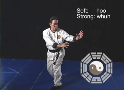 Видеофильм Bagua Chi Kung: Secrets of the Dragon, vol.2