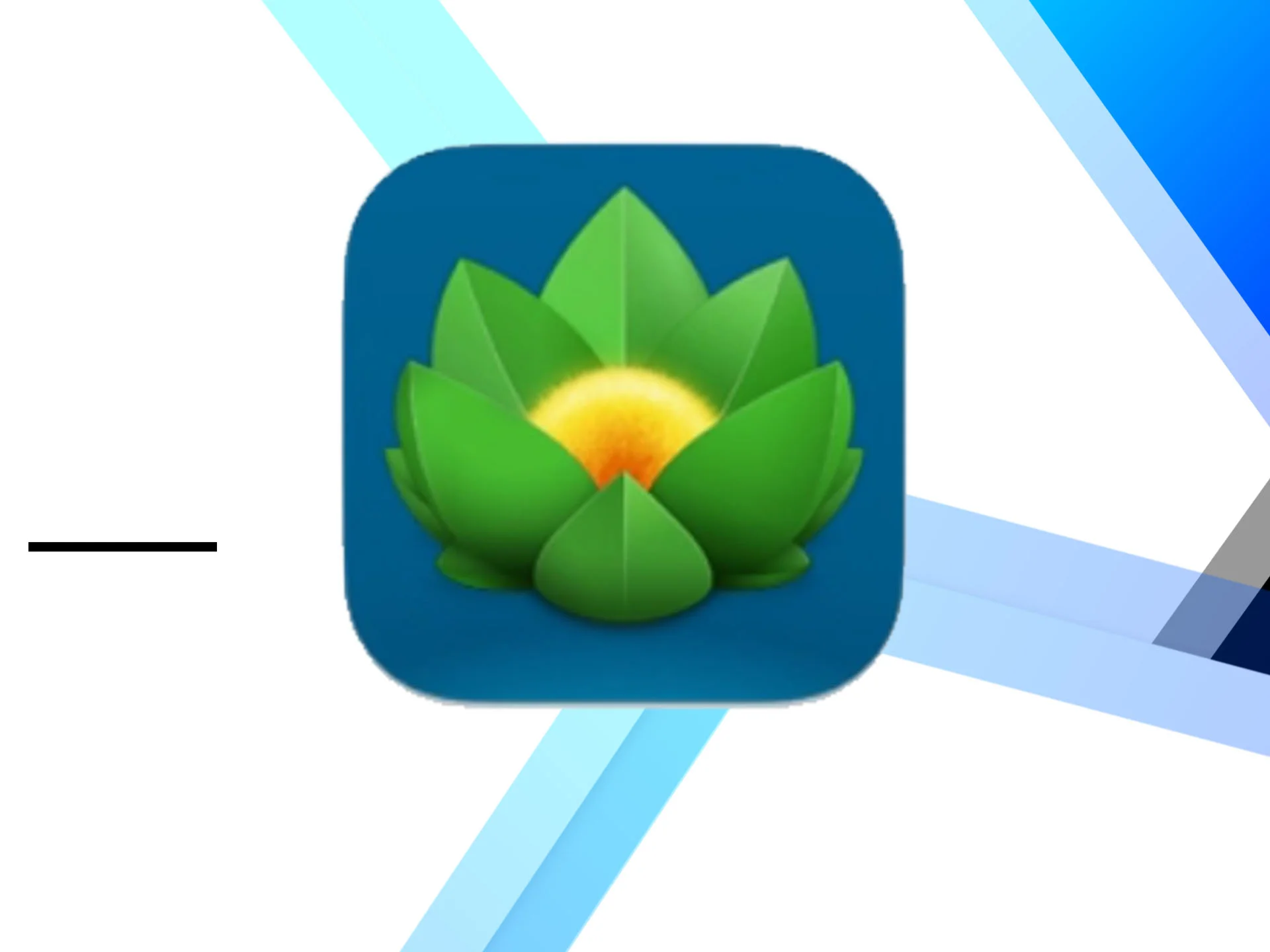 Versions 2 macOS ключ бессрочно