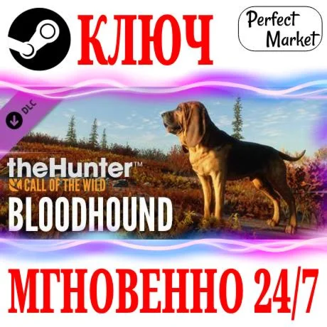 theHunter: Call of the Wild Bloodhound STEAMКЛЮЧ