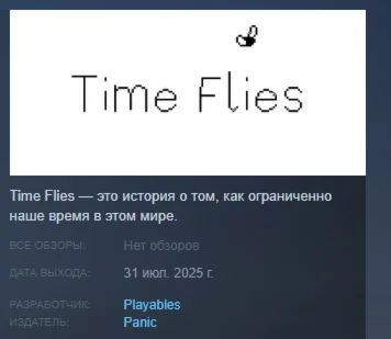 Time Flies АВТОДОСТАВКА STEAM РОССИЯ