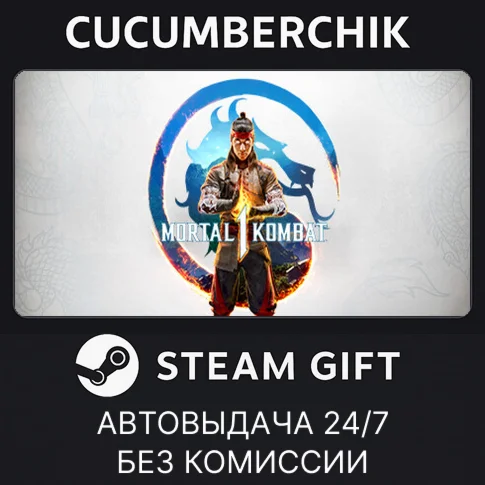 Mortal Kombat 1STEAM GIFT AUTOUA+МИР