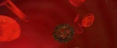 Скринсейвер Путешествие внутри человека + БОНУС