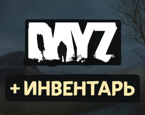 ⚫️DayZ + Инвентарь⚫️Выгодное предложение