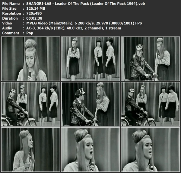 SHANGRI-LAS - Leader Of The Pack