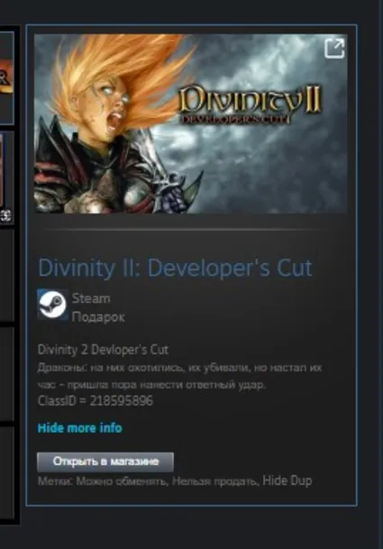 Divinity II: Developer's Cut STEAM GIFT ВСЕ СТРАНЫ